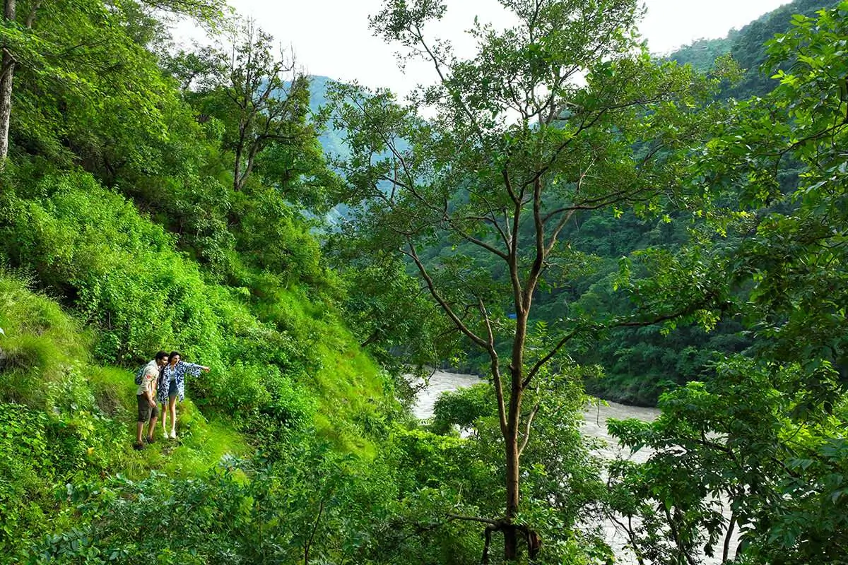 Best Wellness Resorts in India