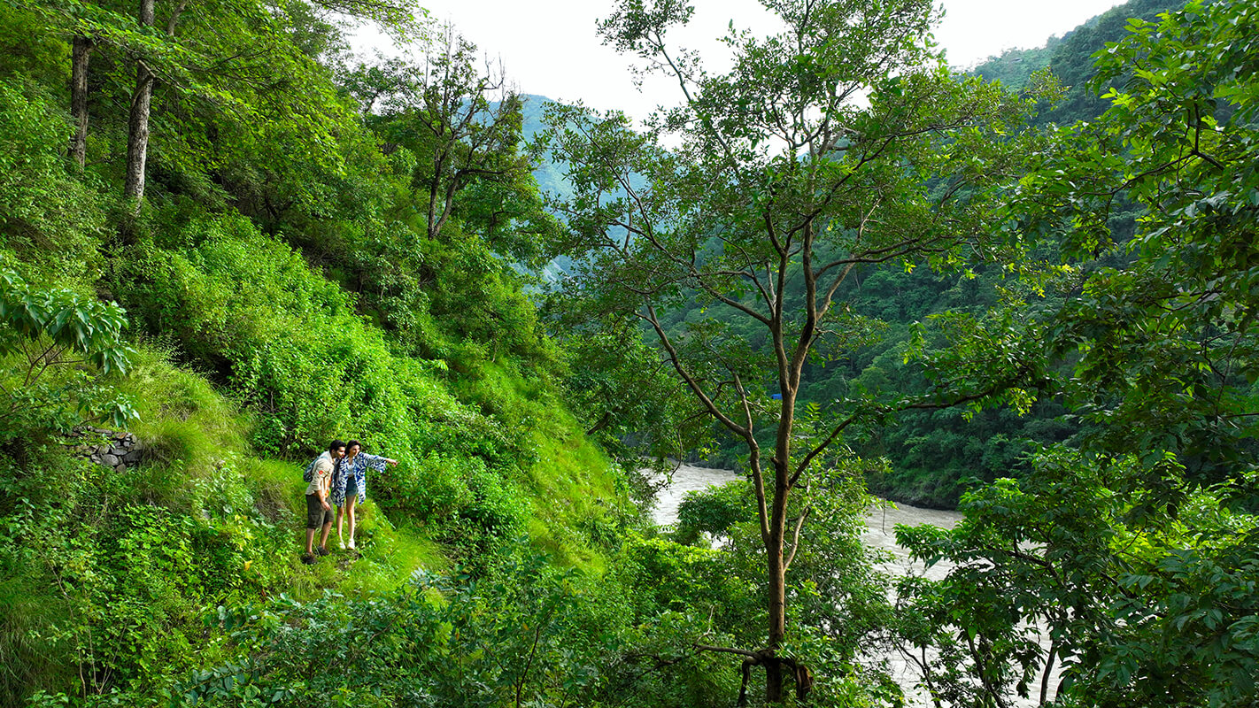 Best Time of Year to Visit Wellness Resorts in India: A Seasonal Guide